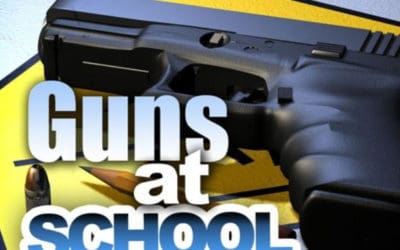 Chicago School Security Assessment