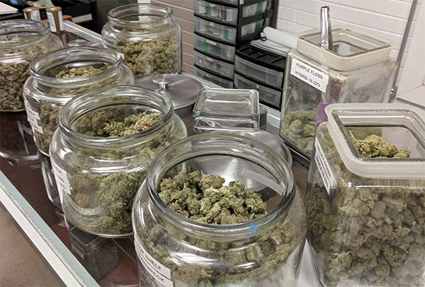 image of a variety of cannabis in a legal dispensary shop